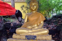 DSCF6690