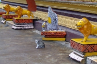 DSCF6692
