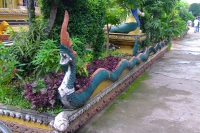 DSCF6695