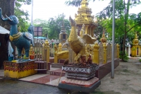 DSCF6706