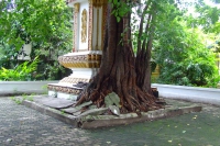 DSCF6713