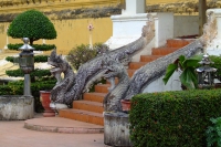 DSCF6793