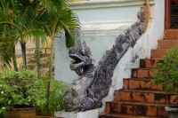 DSCF6801