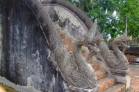 DSCF6894