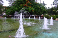 DSCF6964