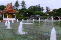 DSCF6965